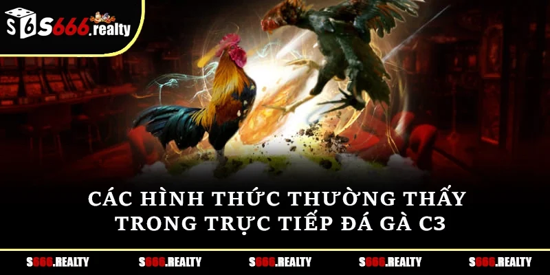 Các hình thức thường thấy trong trực tiếp đá gà C3